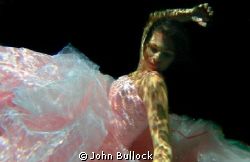This is a photograph from an underwater photographic seri... by John Bullock 